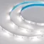 Лента LED RT-5000-6060LENS-20-12V Day4000 (10мм, 10W/m, IP20) (ARL, Открытый)
