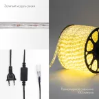 Дюралайт LED, постоянное свечение 2 W - тёплый белый, 36 LED/м, 100 м