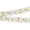 Лента светодиодная RT 2-5000 24V Cool 8K 2x2 (5060, 600 LED, LUX) | 013756 | Arlight