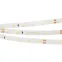 Лента светодиодная RT 2-5000 24V Cool 8K 3x (2835, 840 LED, LUX) | 019092 | Arlight