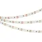 Лента светодиодная RS 2-5000 24V Day4000 2x2 8mm (3014, 240 LED/m, LUX) | 024465 | Arlight