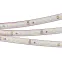 Лента светодиодная RTW 2-5000PS-50m 24V White6000 2x (3528, 120 LED/m, LUX) | 024574 | Arlight
