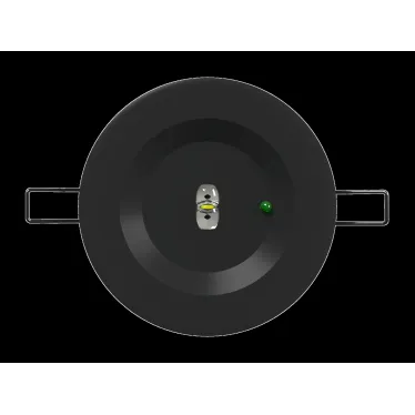 Светильник аварийный BS-ARUNA-10-L2-24 IP40 Black