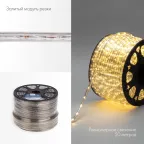 Дюралайт LED, свечение с динамикой 3W - тёплый белый, 24 LED/м, 100 м