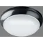 Светильник светодиодный ДПБ-01-ПП-12-BL-4К-IP65-А1