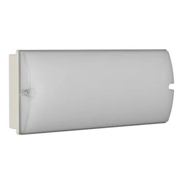 Светильник аварийный BS-METEORIT-53-L1-INEXI2 5000K