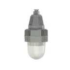                  Светильник светодиодный ATLAS ECO LED 25 D270 G Ex
               