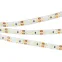 Светодиодная лента герметичная RTW-SE-A120-8mm 12V White6000 (9.6 W/m, IP65, 2835, 5m) (Arlight, -) | 014637(3) | Arlight