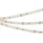 Лента светодиодная RT 2-5000-50m 24V Day5000 2x (2835, 160 LED/m, LUX) | 026701 | Arlight