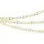 Лента ULTRA-C180-10мм 24V White6000 (19.2 W/m, IP20, 5630, 5м) (высок.эфф.200 лм/Вт)