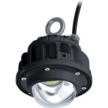 Светильник ACORN LED 20 D120 5000K Ex