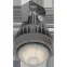 Светильник светодиодный ZENITH LED Ex G2/B 30W D270 850 HG