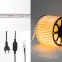 Дюралайт LED, постоянное свечение 2W - желтый, 30 LED/м, 100 м
