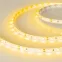 Лента RT-A60-8мм 12V Yellow (4.8 W/m, IP20, 2835, 5м) (Открытый)