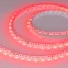 Лента LED MINI-F60-10mm 24V RGB (14.4 W/m, IP20, 3535, 5m) (ARL, Открытый)