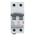 RX3 Выключатель-разъединитель 2П 40A | 419324 | Legrand