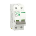                  Выключатель нагрузки (мод. рубильник) 63А 2P RESI9 | R9PS263 | Schneider Electric
               