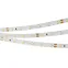 Лента светодиодная RT 2-5000-50m 24V Day4000 (3528, 60 LED/m, LUX) | 024583(1) | Arlight