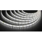                  Лента светодиодная NLS-2835W120-9.6-IP65-24V 5м
               