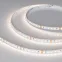 Лента светодиодная NT-A120-8mm 24V Day4000 (9.6 W/m, IP20, 3528, 5m) (arlight, Открытый) | 033524 | Arlight