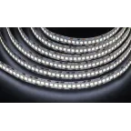 Лента светодиодная NLS-2835CW240-24-IP20-12V