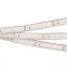 Лента светодиодная RTW 2-5000PGS 24V Cool 2x (3528, 600 LED, LUX) (arlight, 9.6 Вт/м, IP67) | 016835(1) | Arlight