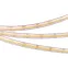 Лента светодиодная герметичная COB-PS-X544-10mm 24V Day4000 (11.5 W/m, IP67, CSP, 5m) (arlight, -) | 031908(2) | Arlight