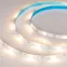 Лента LED RT-5000-6060LENS-20-12V Warm3000 (10мм, 10W/m, IP20) (ARL, Открытый)