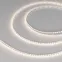 Лента MICROLED-M168-4mm 24V Day4000 (5 W/m, IP20, 2216, 5m) (Arlight, узкая)
