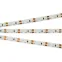 Лента LED RT 2-5000 12V UV400 2X (3528, 600 LED, W) (ARL, 9.6 Вт/м, IP20)