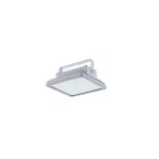                  Светильник светодиодный INSEL LB/S LED 70 D120 Ex 5000K GI
               