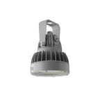                  Светильник светодиодный ZENITH LED Ex G2/B 90W D120 850 HG
               