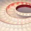 Лента светодиодная герметичная FLT-PS-A42-23mm 24V Warm3000 (21 W/m, IP67, 15deg, 5m) (ARL, 42 LED/m)