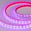 Лента герметичная RTW-PS-B60-12мм 24V RGB (14.4 W/m, IP67, 5060, 50m) (14.4 Вт/м, IP67)