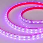 Лента герметичная RTW-PS-B60-12мм 24V RGB (14.4 W/m, IP67, 5060, 50m) (14.4 Вт/м, IP67)