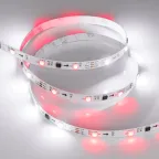                  Лента SPI-B30-10mm 12V RGB-PX3 (7.2W/m, IP20, 5060, 5m) (, Открытый, IP20)
               