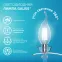 Лампа светодиодная филаментная LED 10 Вт 670 лм 4100К свеча на ветру нейтральный E14 AC 220В прозрачная колба Elementary Gauss