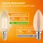 Лампа светодиодная филаментная LED 10 Вт 650 лм 2700К свеча теплый E14 AC 220В прозрачная колба Elementary Gauss
