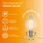 Лампа светодиодная филаментная LED 10 Вт 650 лм 2700К свеча теплый E14 AC 220В прозрачная колба Elementary Gauss