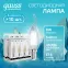 Лампа светодиодная филаментная LED 8 Вт 540 лм 4100К свеча на ветру нейтральный E14 AC 220В прозрачная колба Elementary Gauss