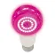 Лампа светодиодная для растений LED-A60-15W-SPSB-E27-CL PLP30WH Форма A прозрачная. Спектр для рассады и цветения.