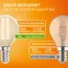 Лампа светодиодная филаментная LED 10 Вт 650 лм 2700К шар P45 теплый E14 AC 220В прозрачная колба Elementary Gauss