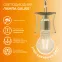Лампа светодиодная филаментная LED 11 Вт 910 лм 2700К А60 груша теплый E27 AC 220В прозрачная колба Elementary Gauss