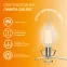 Лампа светодиодная филаментная LED 12 Вт 730 лм 2700К свеча на ветру теплый E14 AC 220В прозрачная колба Elementary Gauss