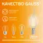 Лампа светодиодная филаментная LED 12 Вт 730 лм 2700К свеча на ветру теплый E14 AC 220В прозрачная колба Elementary Gauss