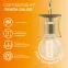 Лампа светодиодная филаментная LED 8 Вт 510 лм 2700К шар P45 теплый E14 AC 220В прозрачная колба Elementary Gauss