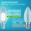Лампа светодиодная филаментная LED 10 Вт 670 лм 4100К свеча нейтральный E14 AC 220В прозрачная колба Elementary Gauss