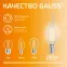 Лампа светодиодная филаментная LED 10 Вт 650 лм 2700К свеча на ветру теплый E14 AC 220В прозрачная колба Elementary Gauss