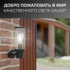 Светильник архитектурный ДБУ под лампу 60 Вт 1хE27 AC 220В IP54 105х142х240мм Vega Gauss