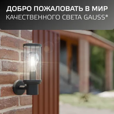 Светильник архитектурный ДБУ под лампу 60 Вт 1хE27 AC 220В IP54 105х142х240мм Vega Gauss